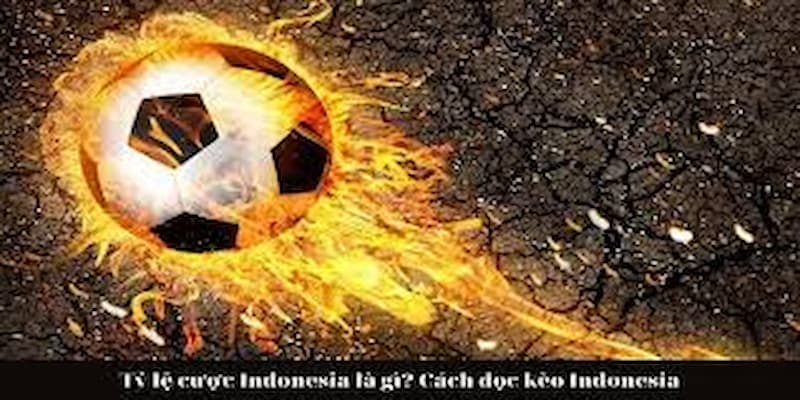 Mẹo hiểu sâu tỷ lệ cược Indonesia là gì tại jun88