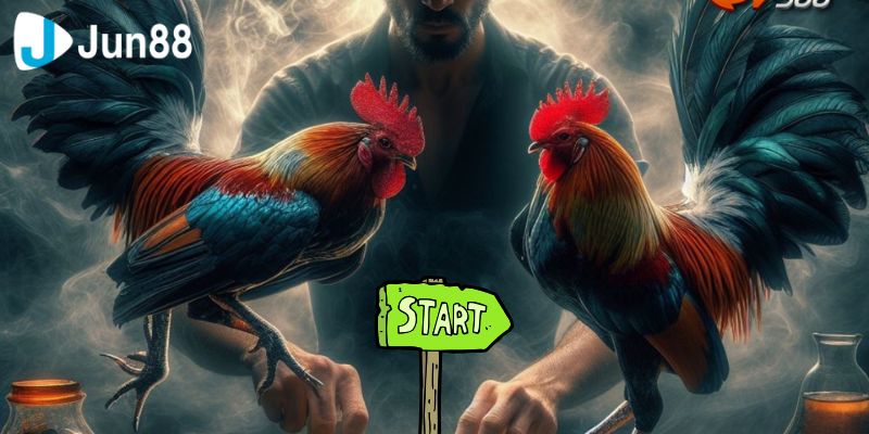 Đăng kí cá cược dễ dàng