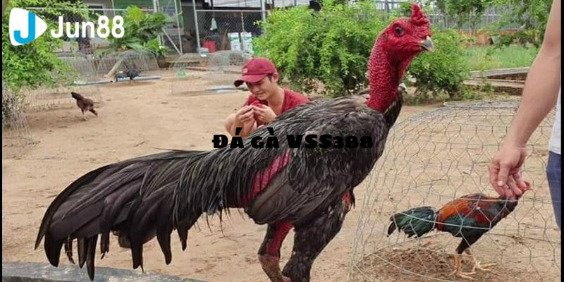 Các tính năng hiện đại và hấp dẫn