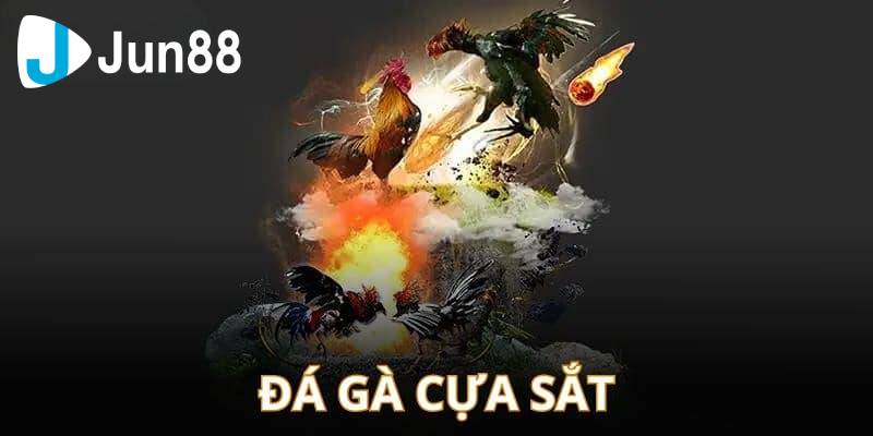 Đá gà cựa sắt