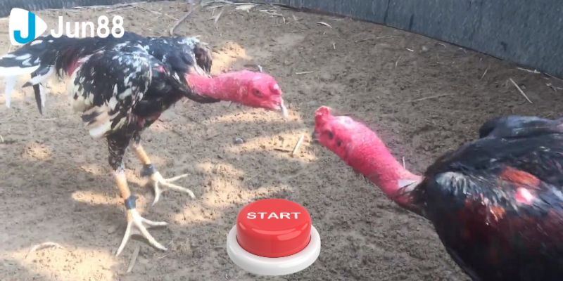 Mang lại trải nghiệm chân thực và sống động