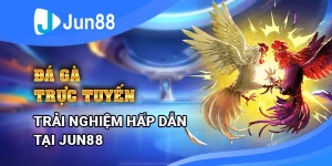 da-ga-truc-tuyen-–-trai-nghiem-hap-dan-tai-jun88