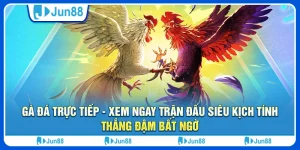 ga-da-truc-tiep-xem-ngay-tran-dau-sieu-kich-tinh-thang-dam-bat-ngo
