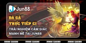 da-ga-truc-tiep-c1-trai-nghiem-cam-giac-manh-me-tai-jun88