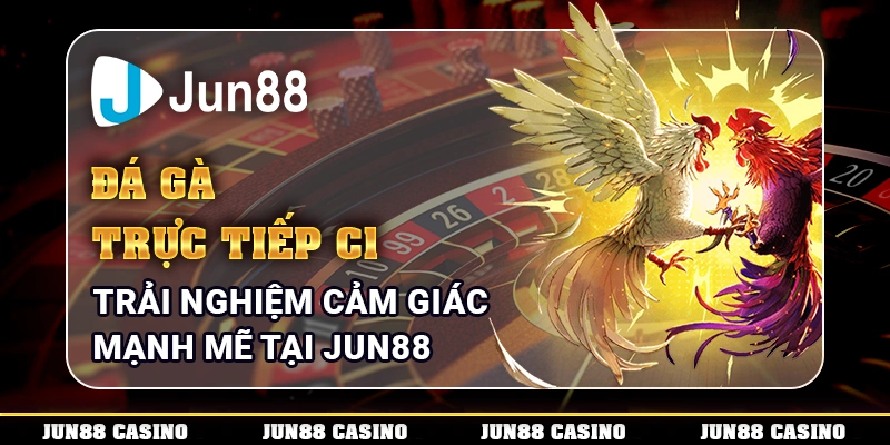 da-ga-truc-tiep-c1-trai-nghiem-cam-giac-manh-me-tai-jun88