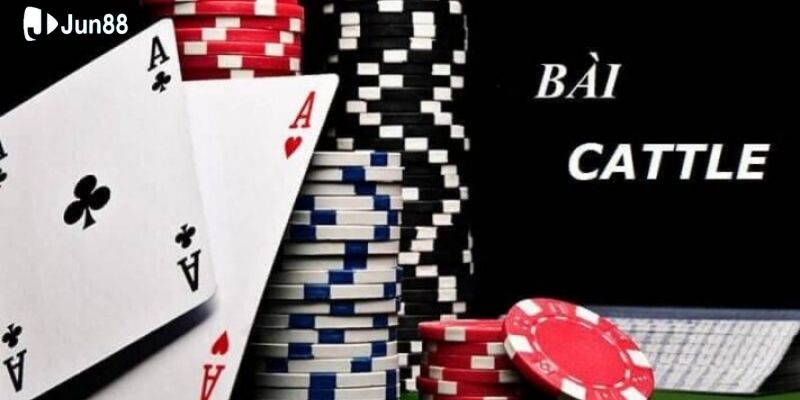 quan-ly-bai-hop-ly-cach-choi-catte-de-thang