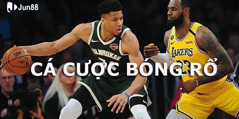 meo-dat-cuoc-bong-ro-xem-tinh-hinh-chan-thuong