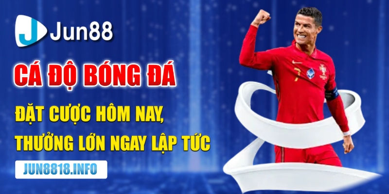 bí kíp cá độ bóng đá