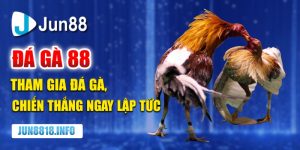 đá gà 88