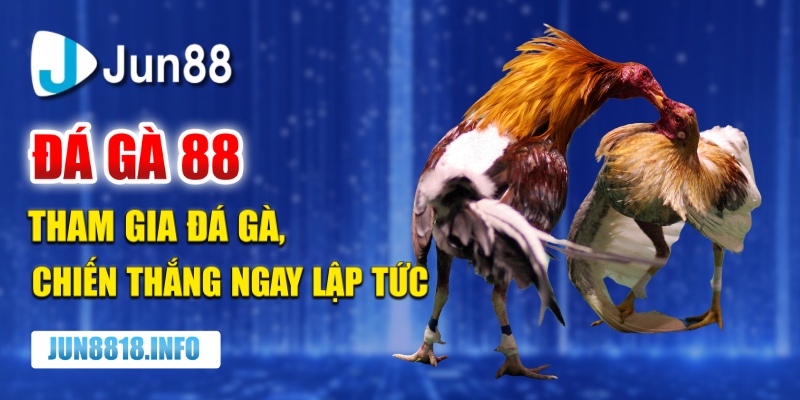 đá gà 88