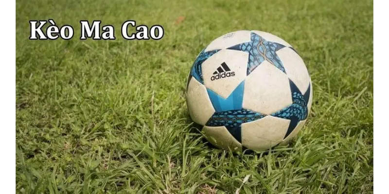 Hướng dẫn người chơi cách đọc và phân tích kèo ma cao