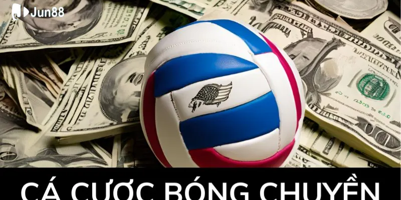 kinh-nghiem-cuoc-bong-chuyen-hay-dua-vao-ly-tinh