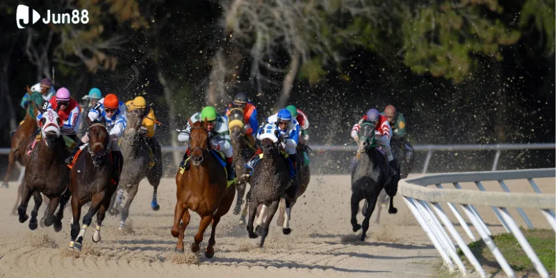 tim-hieu-ca-cuoc-dua-ngua-la-nhu-the-nao-ma-duoc-yeu-thich-toi-vay 