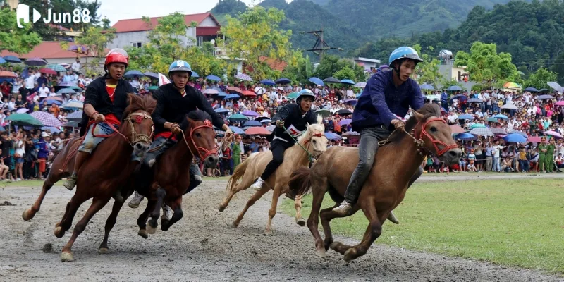 Mẹo thắng đua ngựa giúp bạn làm chủ cuộc chơi