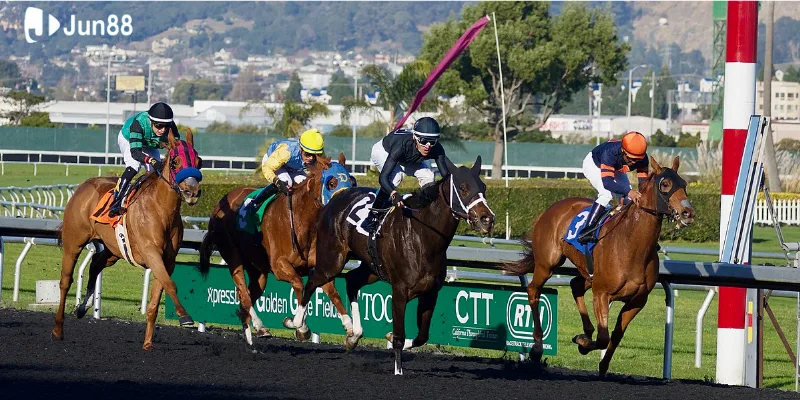 hay-kiem-tra-yeu-to-ky-thuat-truoc-khi-quyet-dinh-dat-cuoc