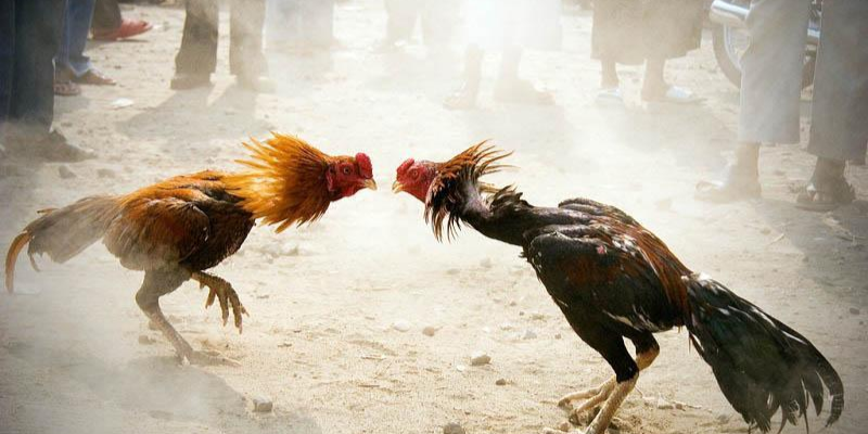 Tham gia 33win để chinh phục mọi cuộc đua kịch tính