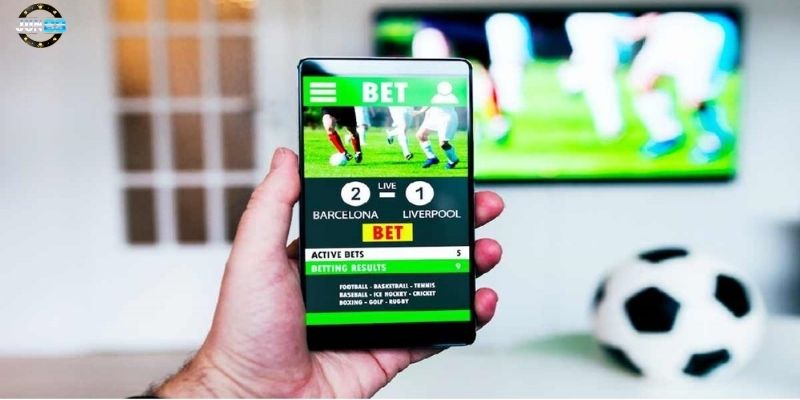 lam-the-nao-de-chon-nha-cai-ca-cuoc-bong-da-an-toan