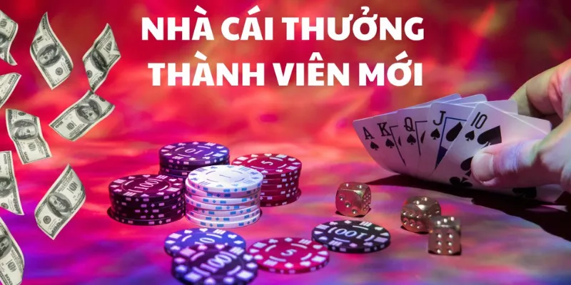 Cách nhận khuyến mãi từ nhà cái một cách tối ưu