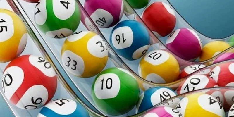 Tìm hiểu cơ bản về bạch thủ lô