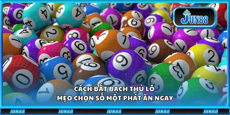 Cách bắt bạch thủ lô - Mẹo chọn số một phát ăn ngay