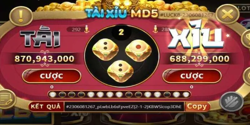 Các loại cược trong tài xỉu MD5 và mức trả thưởng