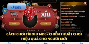 Cách chơi tài xỉu MD5 - Chiến thuật chơi hiệu quả cho người mới