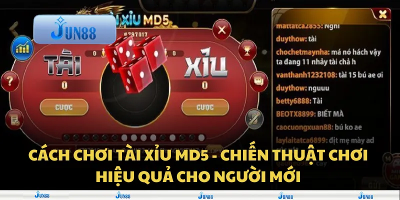 Cách chơi tài xỉu MD5 - Chiến thuật chơi hiệu quả cho người mới