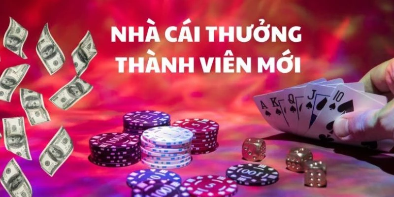 Tổng hợp các khuyến mãi cơ bản nhà cái